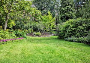 Optimiser l'expérience du jardin à Brehain-la-Ville